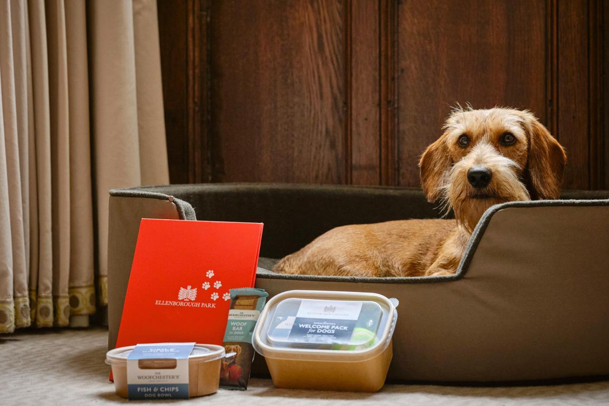 Hotel Ellenborough Park Bishop's Cleeve Esterno foto A dog with a dog bed